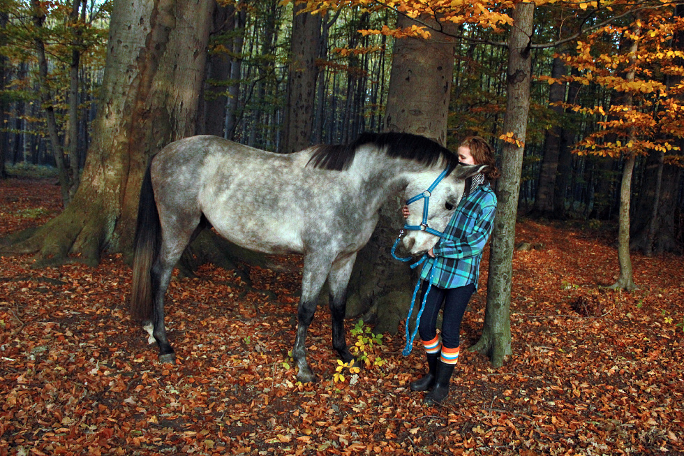 Persival Listopad 31.10.2011 025