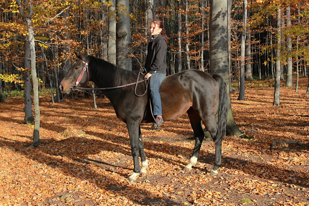 Džoší 5.11.2011 222