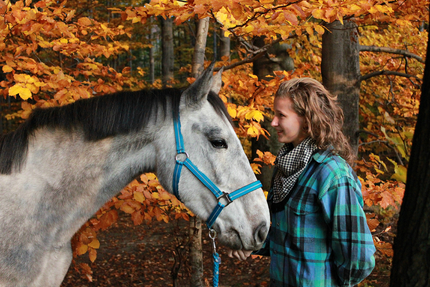 Persival Listopad 31.10.2011 152