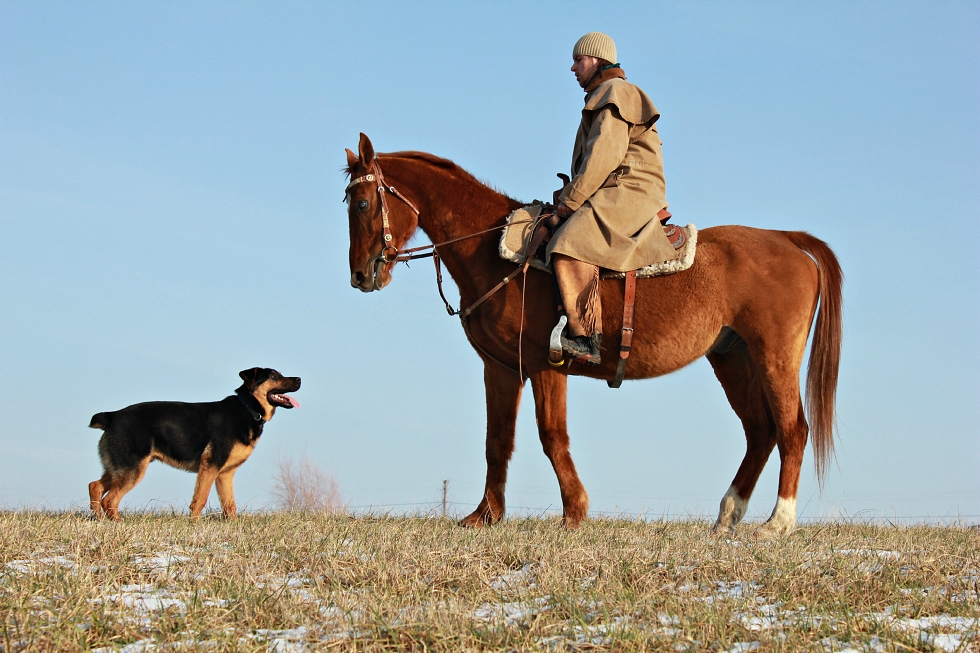 28.1.2012 vyjda 371