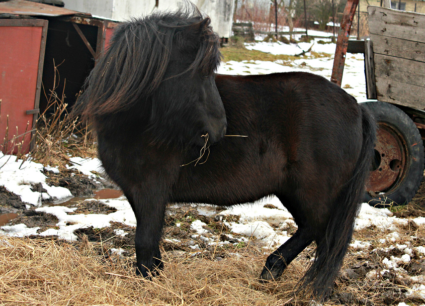uně 22.1.2012 024u