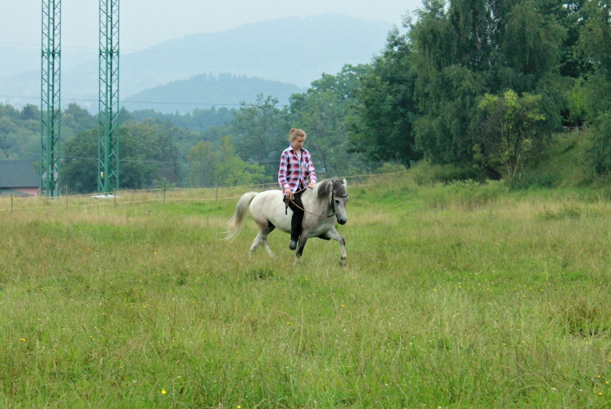 koně červenec 2011 145